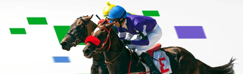 betway south africa horse racing