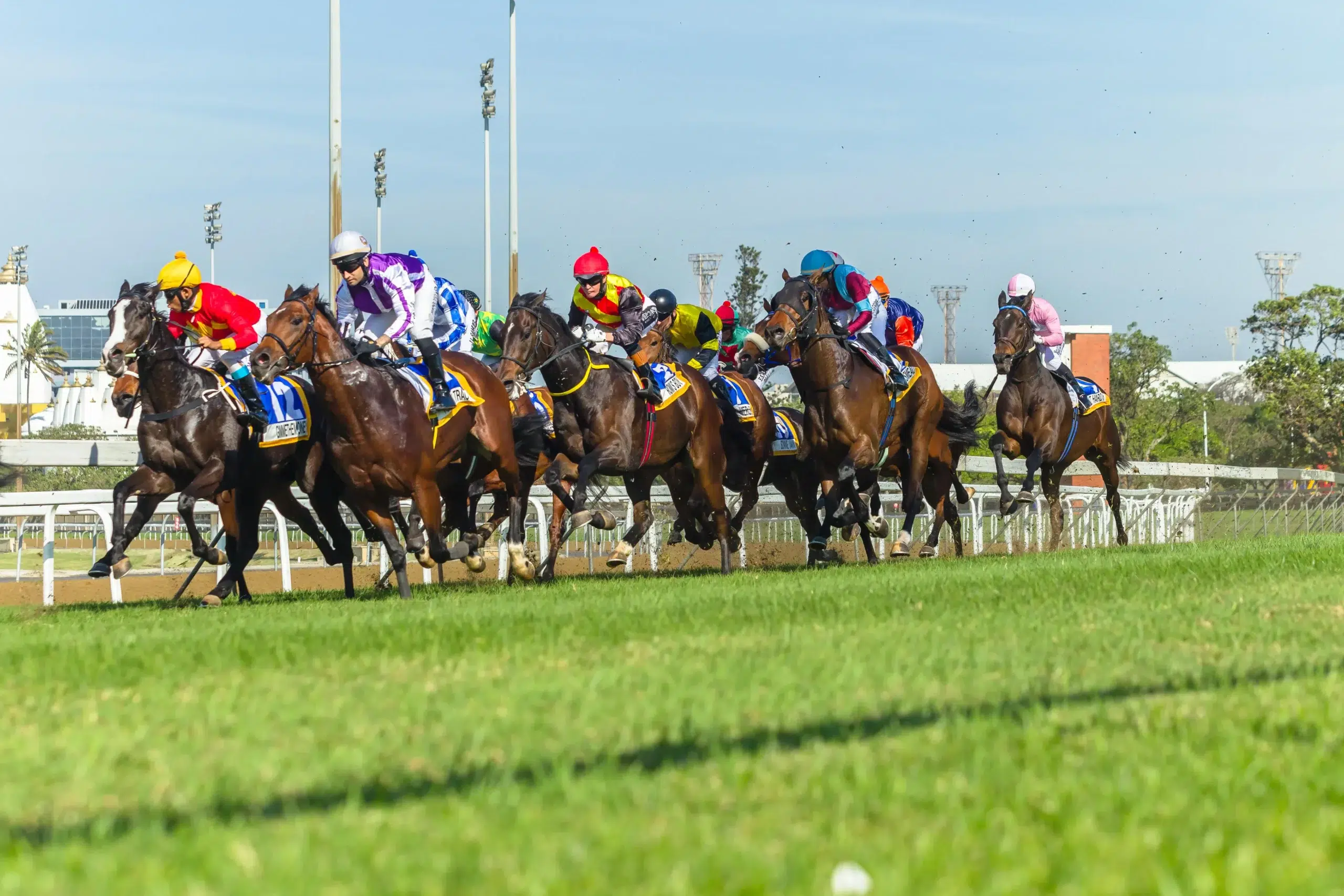Horse racing animals jockey's closeup track action photo