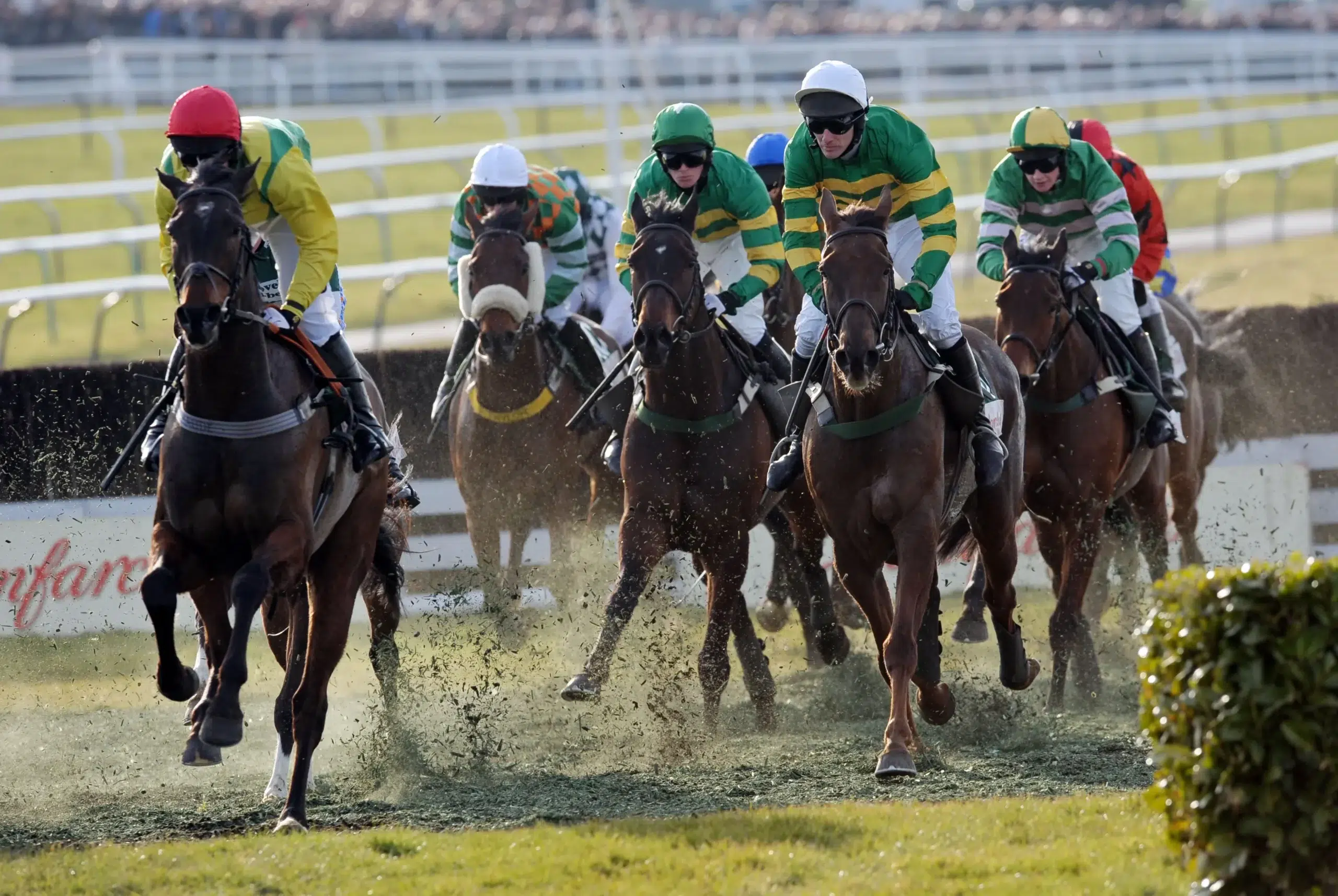 Hollywoodbets Durban July Final Field Unveiled