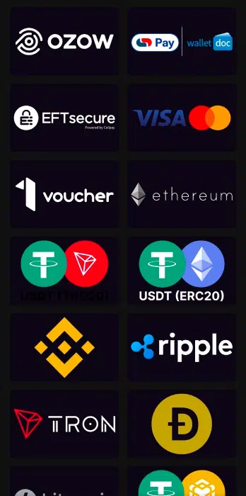 Wanejobets Payment Options Wanejobets Payment Methods